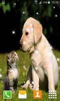 1 Schermata Cat and Dog Live Wallpapers