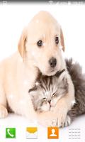 2 Schermata Cat and Dog Live Wallpapers