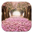 Cherry Blossom Live Wallpapers icono