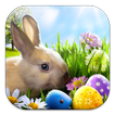 ”Easter Bunny Live Wallppers