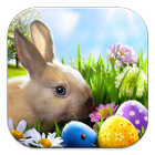 Easter Bunny Live Wallppers simgesi