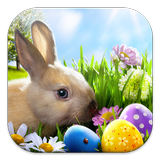 Easter Bunny Live Wallppers آئیکن
