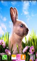 Easter Bunny Live Wallppers imagem de tela 1