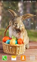 Easter Bunny Live Wallppers اسکرین شاٹ 2