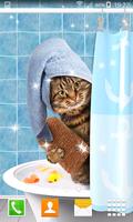 Funny Cat Live Wallpapers Affiche
