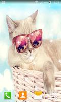1 Schermata Funny Cat Live Wallpapers