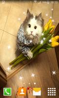 Funny Cat Live Wallpapers ภาพหน้าจอ 2