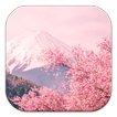 ”Sakura Live Wallpapers