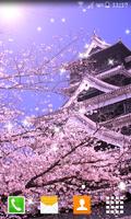 Sakura Live Wallpapers اسکرین شاٹ 1