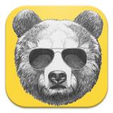Hipster Bears Live Wallpapers icône