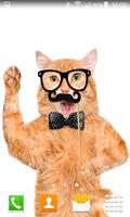 Hipster Cat Live Wallpapers スクリーンショット 1