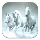 Horse Live Wallpapers أيقونة