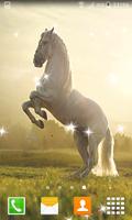 Horse Live Wallpapers الملصق