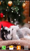 Husky Puppy Live Wallpapers اسکرین شاٹ 1