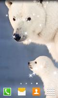 Polar Bear Live Wallpapers تصوير الشاشة 3