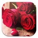 Roses Live Wallpapers aplikacja