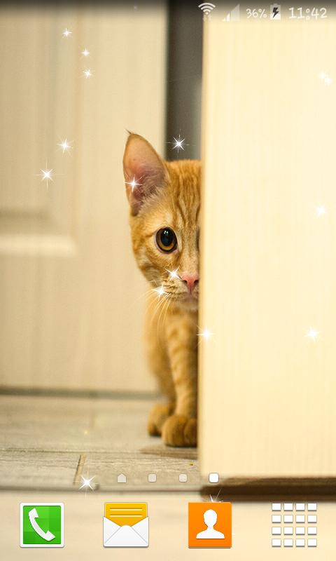  Stalker  Cat  Live  Wallpapers  para Android APK Baixar