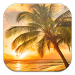 Sunset Beach Live Wallpapers