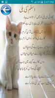 Urdu Nursery Poems capture d'écran 2