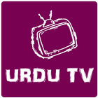 Live New Urdu Tv & Cricket icône