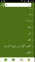 Urdu à Dictionnaire Anglais capture d'écran 2