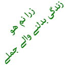 Qasim Ali Shah Book: Zara Num -APK