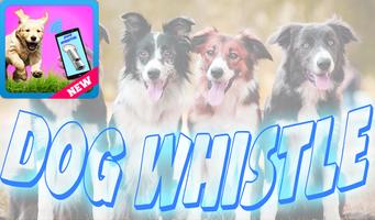 Poster Dog Whistle and Dog Training