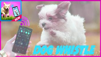 2 Schermata Dog Whistle and Dog Training