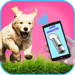 Dog Whistle & dog training pro