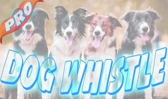 Dog Whistle & dog training pro Affiche