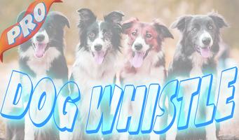 Dog Whistle & dog training pro الملصق