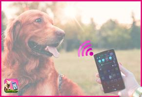 Dog Whistle & dog training pro تصوير الشاشة 3