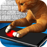 Ponteiro laser para gatos