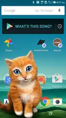 Sweet cat inside phone prank APK download
