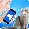 Translating Cat APK