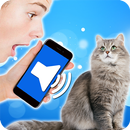 Translating Cat APK