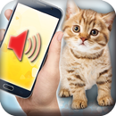 Cat translator - prank APK