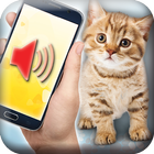 Cat translator - prank أيقونة