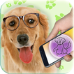 Translate to dog's language pr