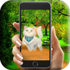Catch all cats APK