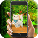 Catch all cats APK