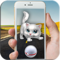 ”Cats GO