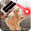 Laser pour chat