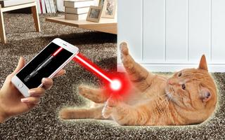 Лазер для кошки постер