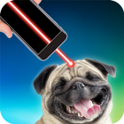 Icona Laser pointer for playing with dog