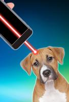 Poster Laser pointer for playing with dog