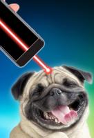 1 Schermata Laser pointer for playing with dog