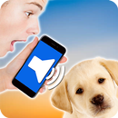 Translating Dog (simulator) APK