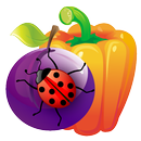 Berry Wow Wow APK