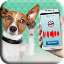 Dog translator (joke) APK